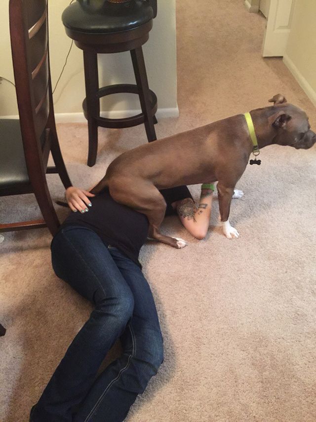 Домашні улюбленці, які не знають про особистий простір: епічні фото - фото 399684