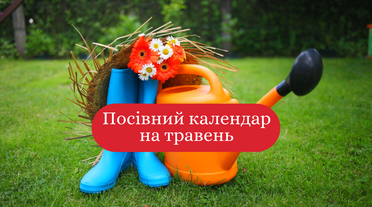 Місячний посівний календар на травень 2020: коли і що садити