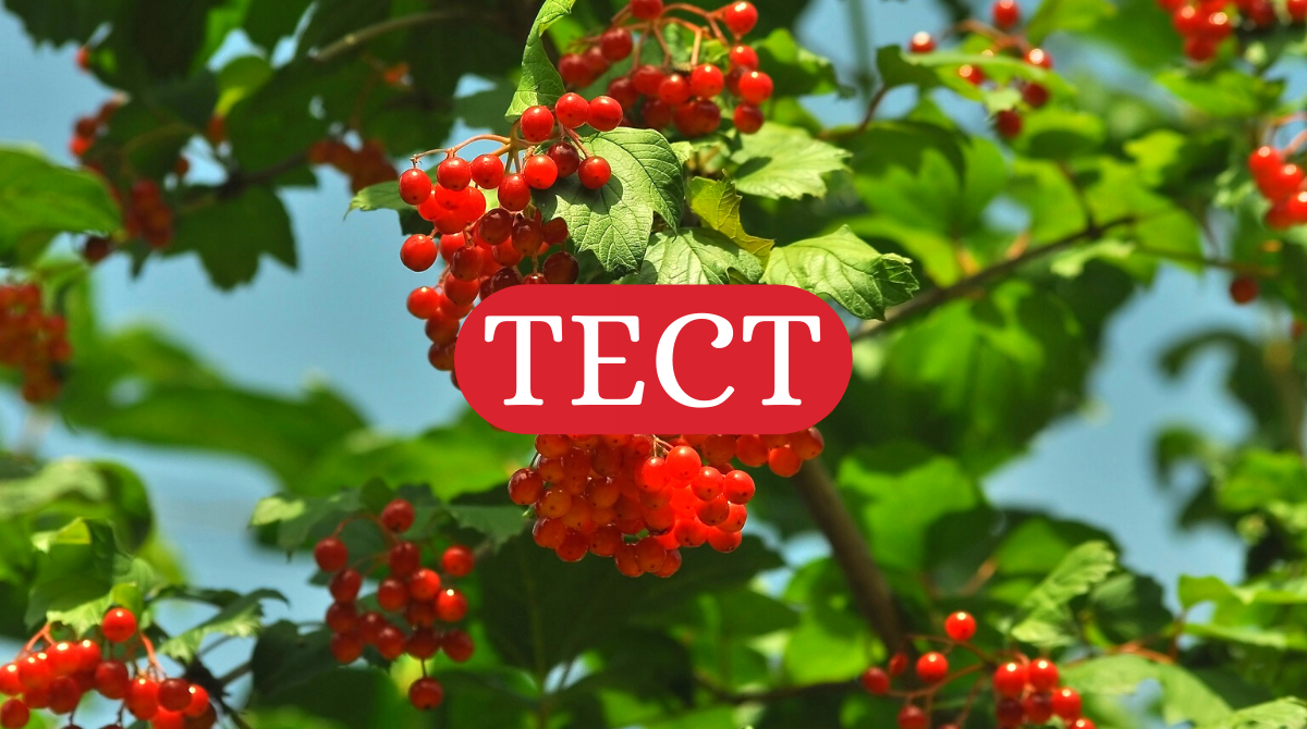 ТЕСТ: Доповни українські прислів'я про весну правильними словами