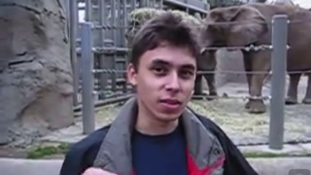 Я в зоопарку - перше відео на YouTube - фото 1