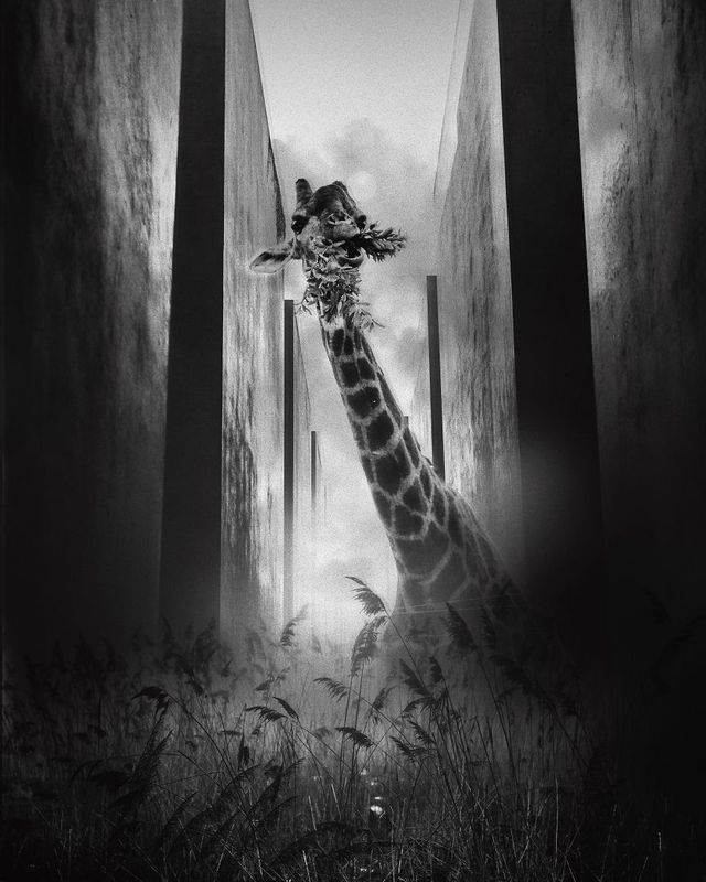 Яким буде світ, якщо карантин не закінчиться: фото - фото 400215