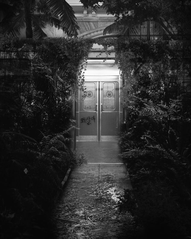 Яким буде світ, якщо карантин не закінчиться: фото - фото 400218