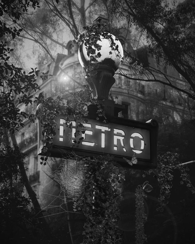 Яким буде світ, якщо карантин не закінчиться: фото - фото 400219