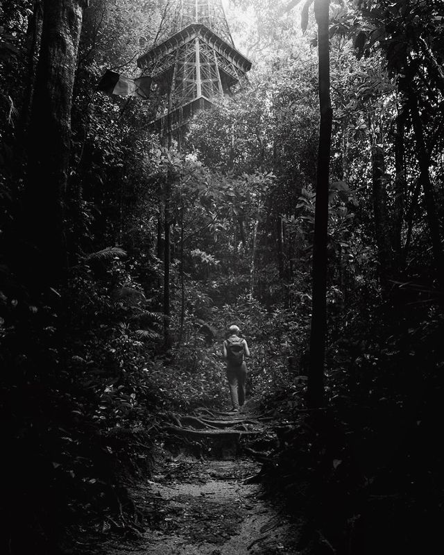 Яким буде світ, якщо карантин не закінчиться: фото - фото 400220