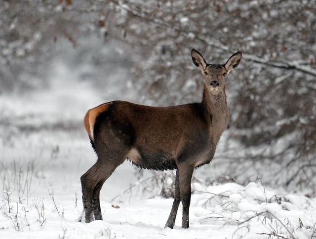 Україна показала ООН, як відроджується Чорнобиль: промовисті фото - фото 400519