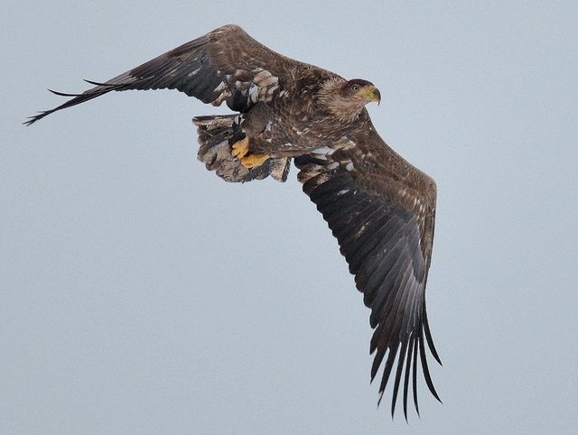Україна показала ООН, як відроджується Чорнобиль: промовисті фото - фото 400521