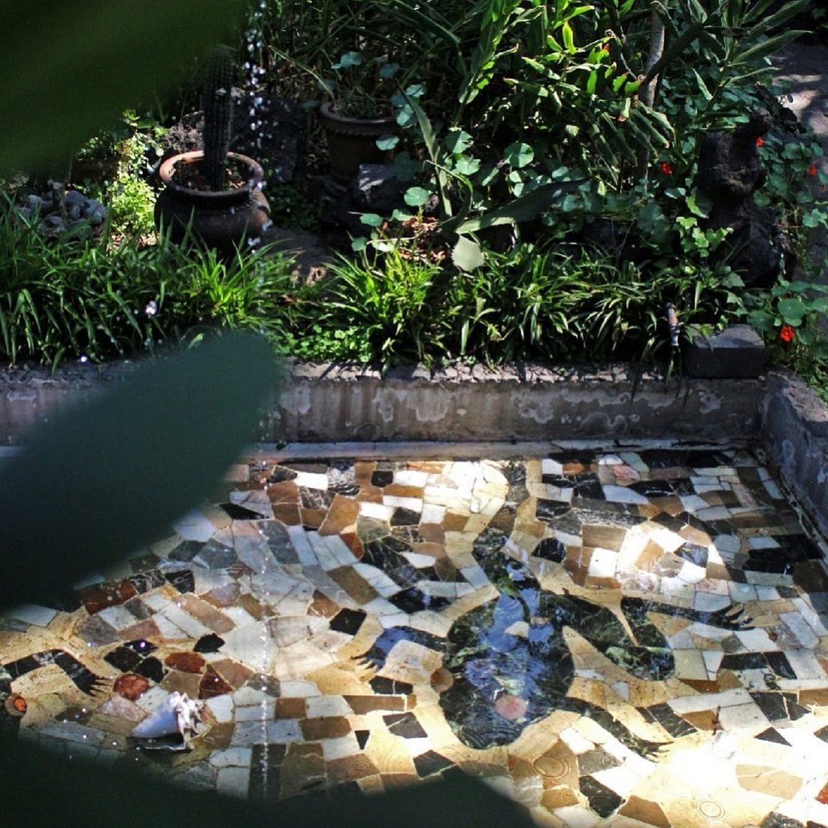 Музей Фріди Кало онлайн - фото 1