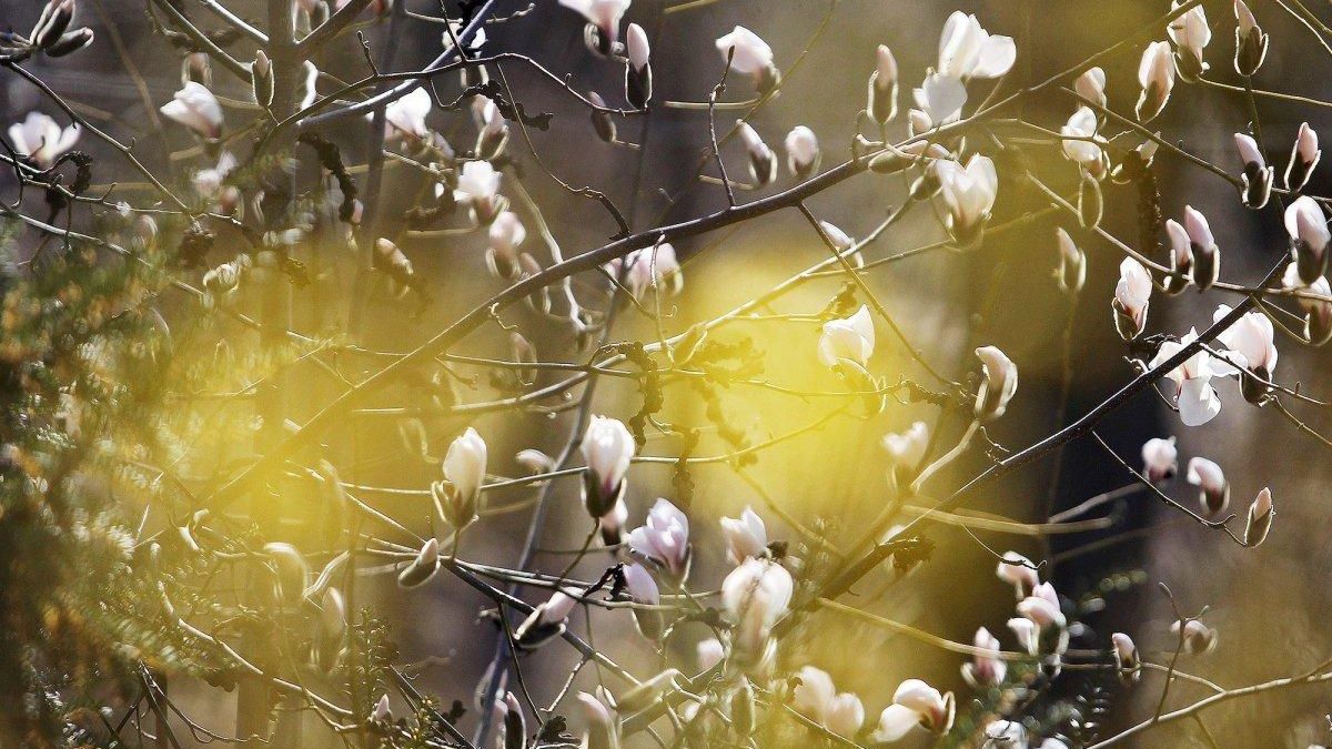 Україні обіцяють найтеплішу в Європі погоду