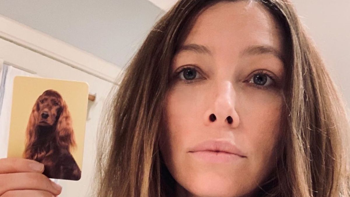 Голлівудські зірки показали своїх собак-двійників: кумедні фото