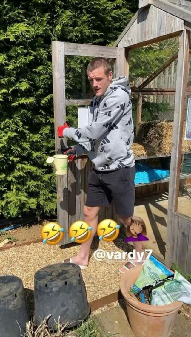 Футболіст збірної Англії посапав город у капцях Gucci - фото 400632