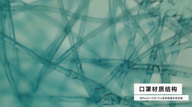 Ентузіасти перетворили Redmi K30 Pro на мікроскоп: результати вражають - фото 400705