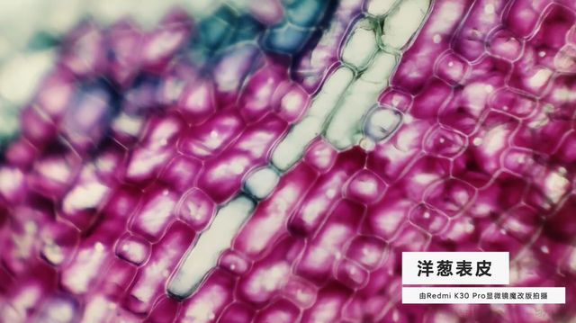 Ентузіасти перетворили Redmi K30 Pro на мікроскоп: результати вражають - фото 400708