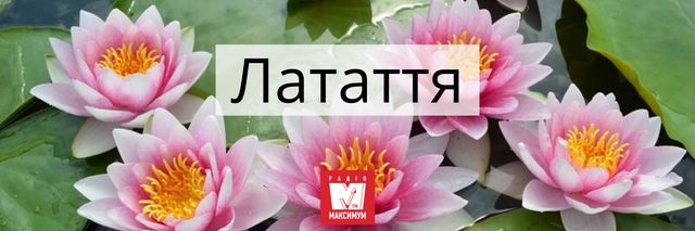 Говори красиво: 10 українських назв квітів, які милують око - фото 400897