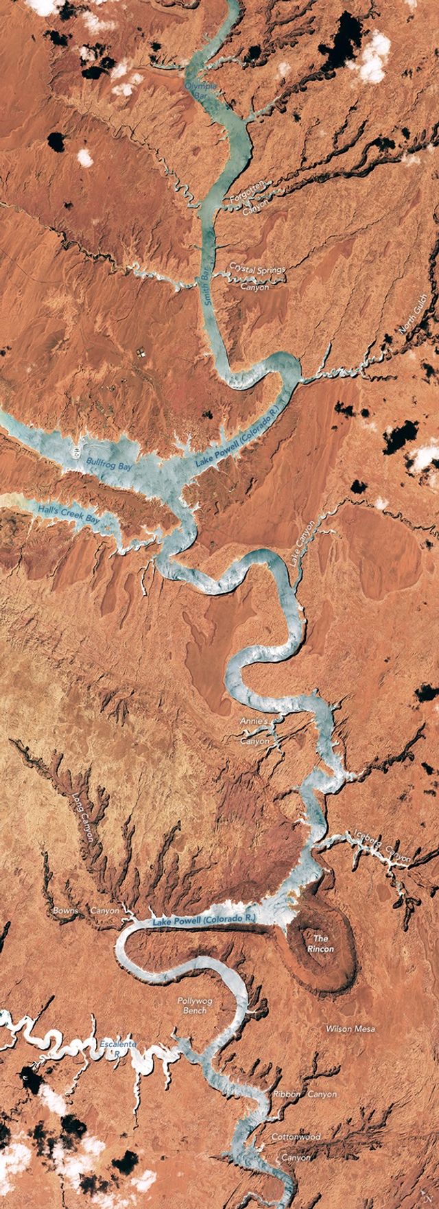 У NASA вибрали найкраще фото Землі: воно прекрасне - фото 401132