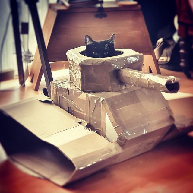 Коти-танкісти: власники пухнастиків розвеселили мережу під час карантину - фото 401393