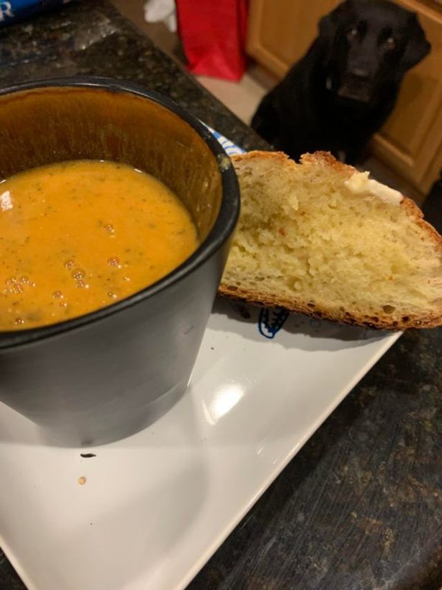 Коли вирішив поїсти: епічні фото з домашніми улюбленцями - фото 401606