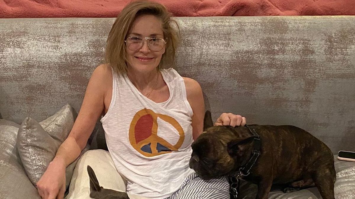 Шерон Стоун розвеселила мережу дивними танцями: кумедне відео