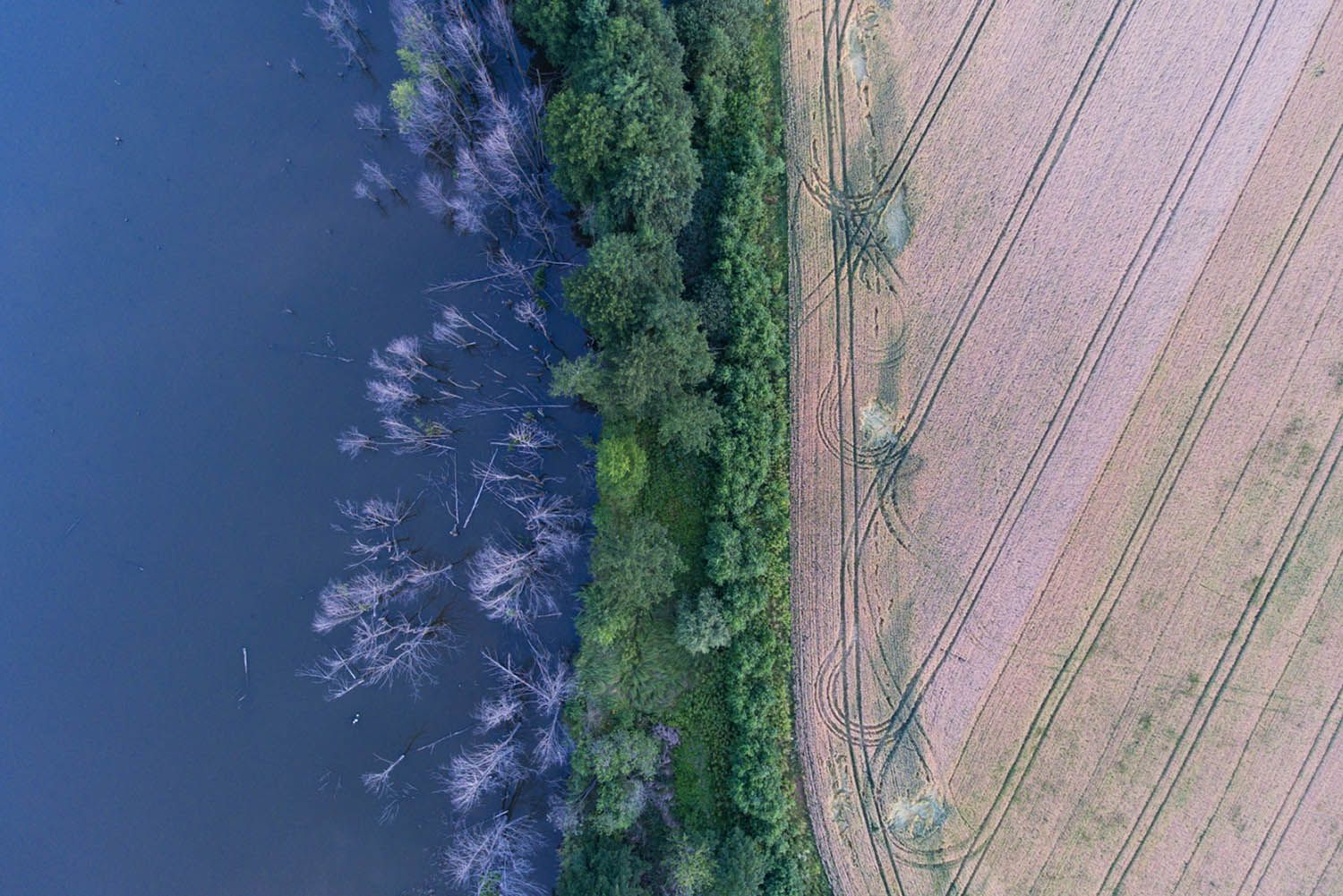 Берег річки Південний Буг біля селища Тиврів на Поділлі - фото 1