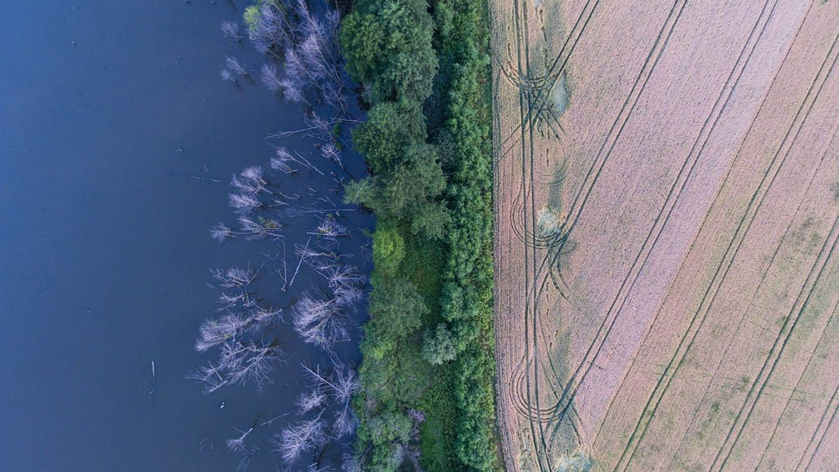 Берег річки Південний Буг біля селища Тиврів на Поділлі - фото 1
