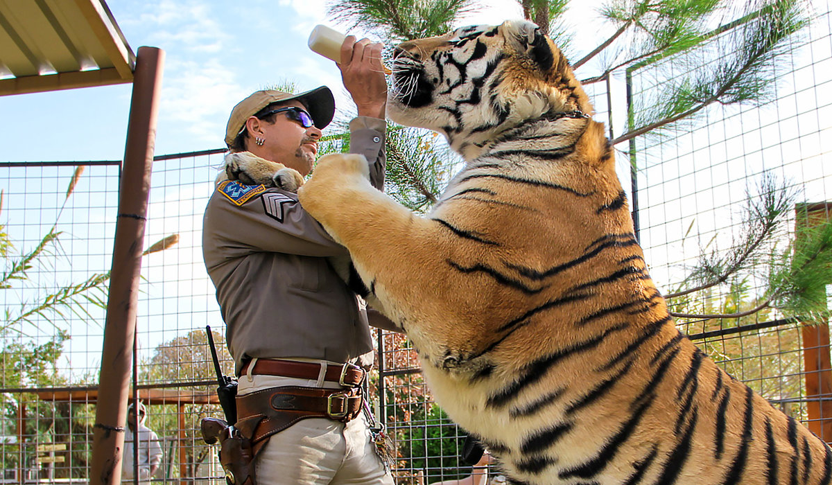 Головний хіт весни "Король тигрів" - фото 1