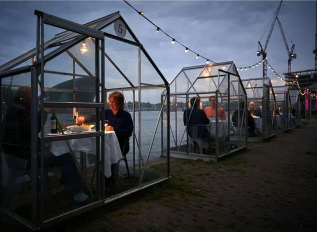 Ресторан в Амстердамі запропонував відвідувачам повечеряти у теплицях: фотофакт - фото 402335