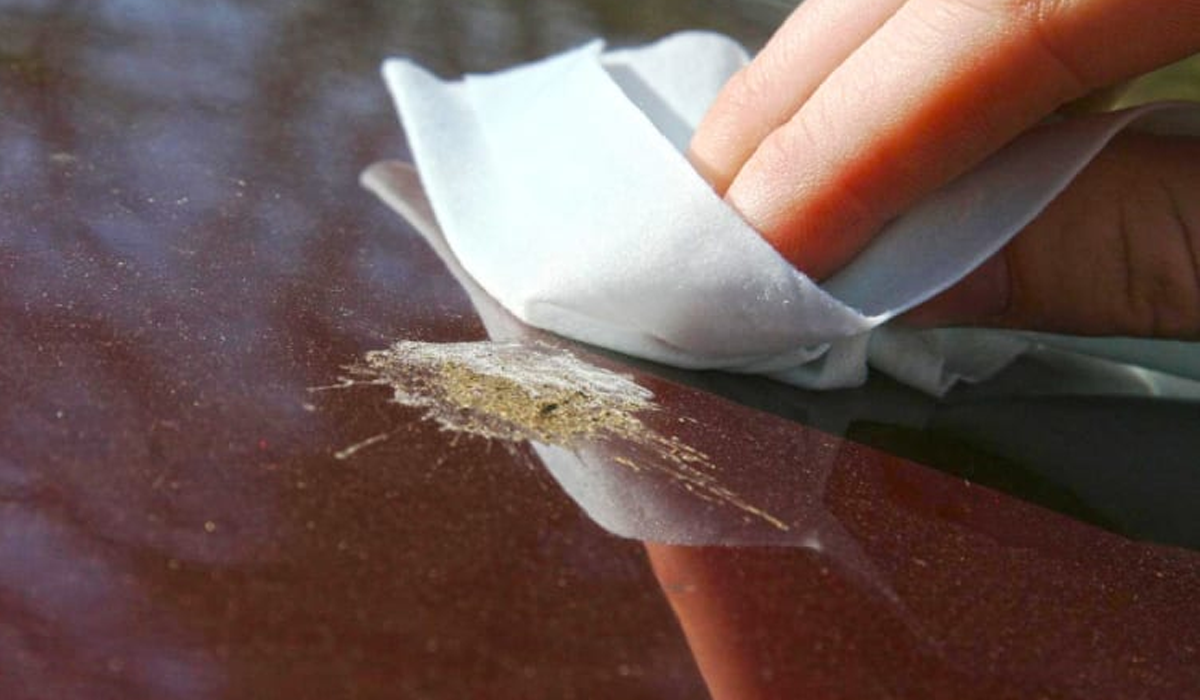 Як швидко та легко прибрати пташиний послід з кузова автомобіля