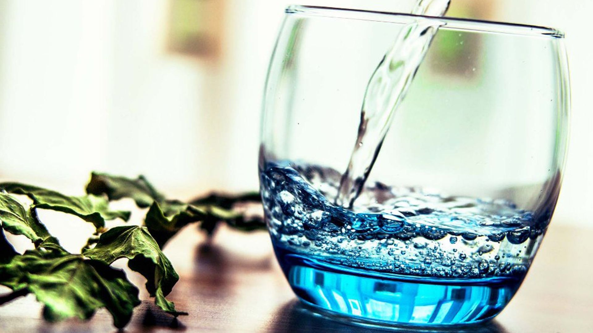 Напої - фото 1