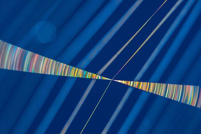 Найкращі фотографії дикої природи 2020 року - фото 403281