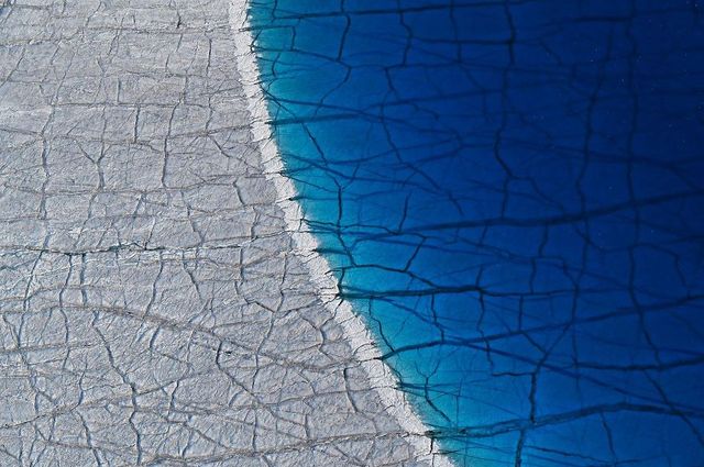 Найкращі фотографії дикої природи 2020 року - фото 403287