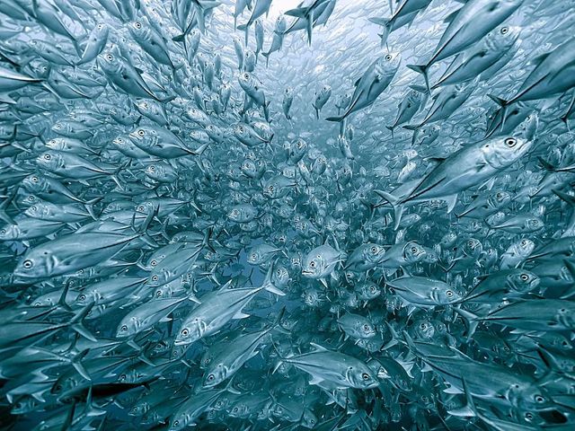 Найкращі фотографії дикої природи 2020 року - фото 403290