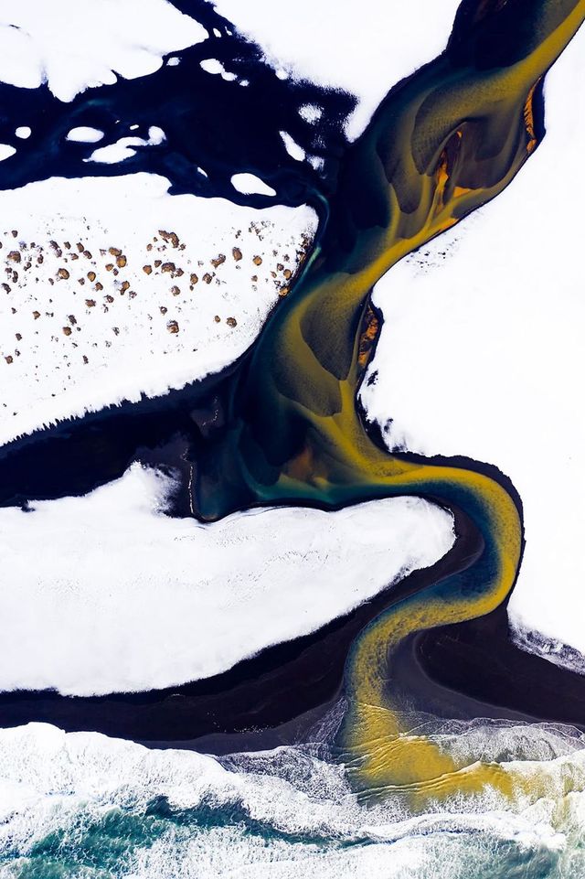 Найкращі фотографії дикої природи 2020 року - фото 403292