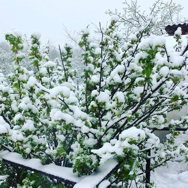 Європу засипало снігом: епічні фото - фото 403548