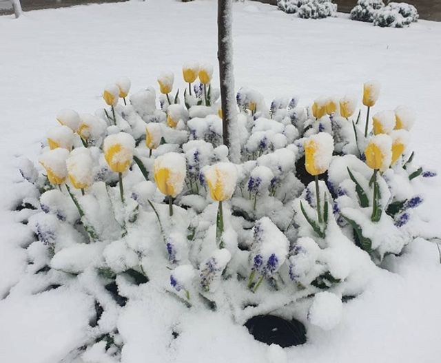 Європу засипало снігом: епічні фото - фото 403553