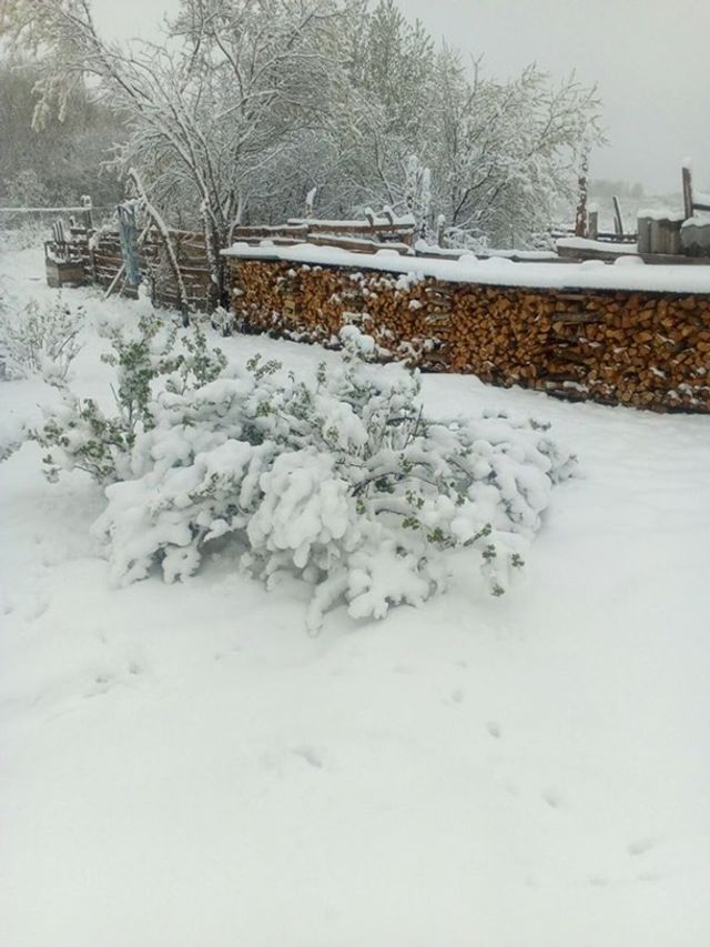 Європу засипало снігом: епічні фото - фото 403554