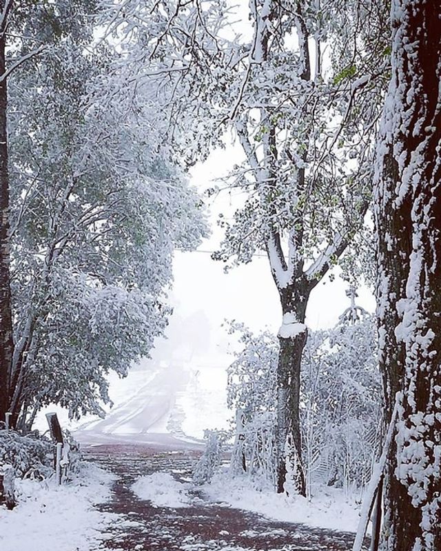 Європу засипало снігом: епічні фото - фото 403555