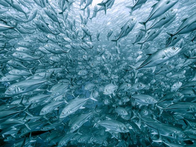 Названий найкращий фотограф природи 2020 року: неймовірні роботи - фото 403593