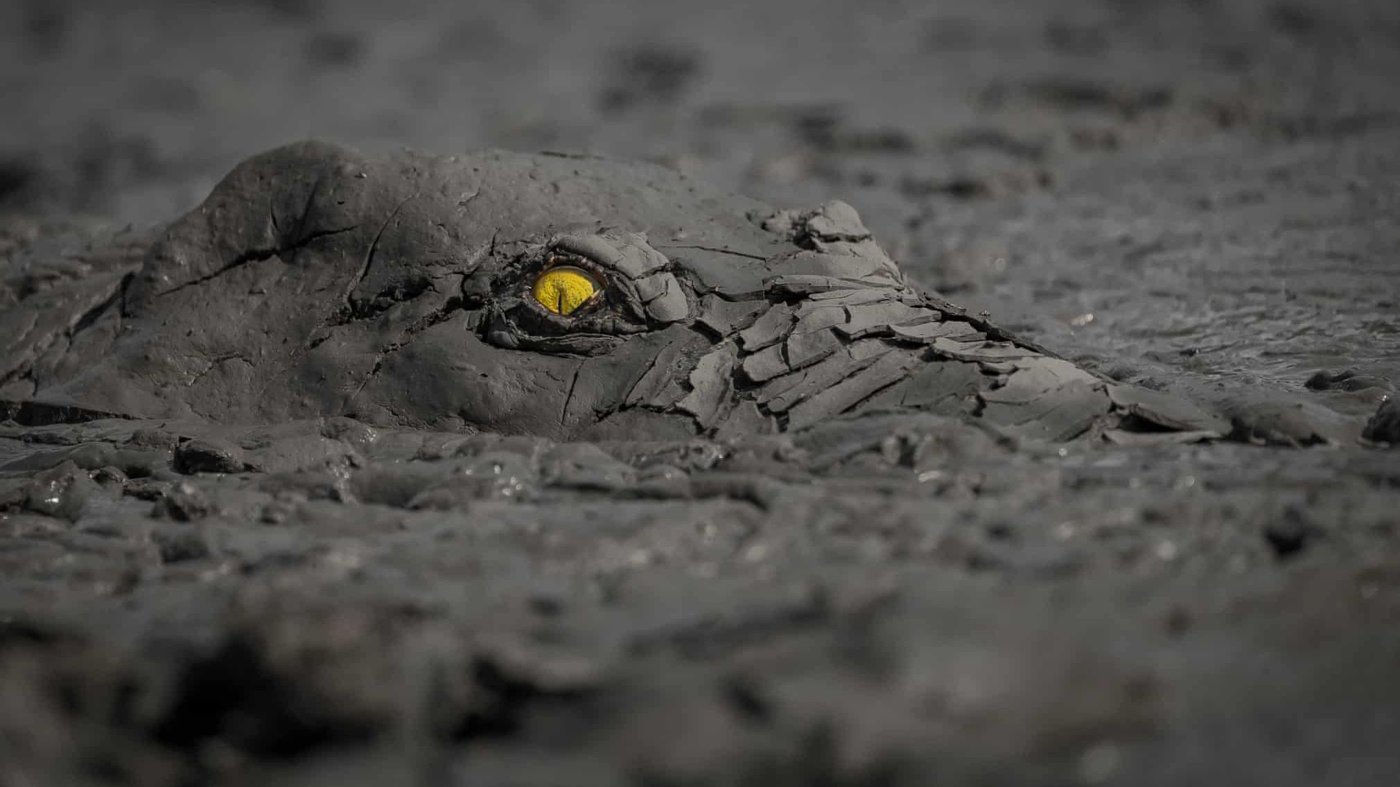 Природа - фото 1