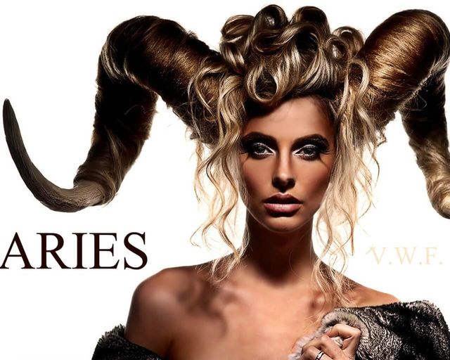 Овни – природжені мисливиці - фото 403923