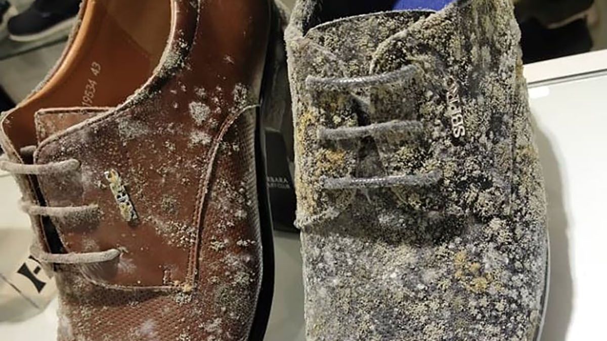 ТЦ у Малайзії - фото 1