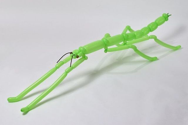 Японець перетворює повітряні кульки на витвори мистецтва - фото 404344