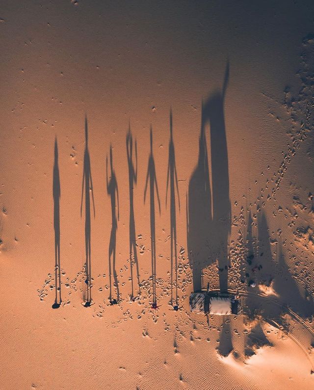 Олешківські піски - фото 404436