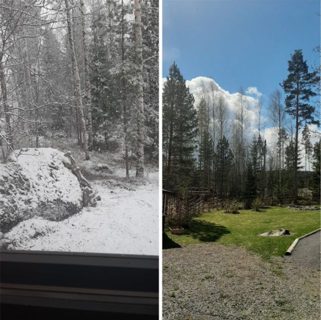 reddit - фото 404476