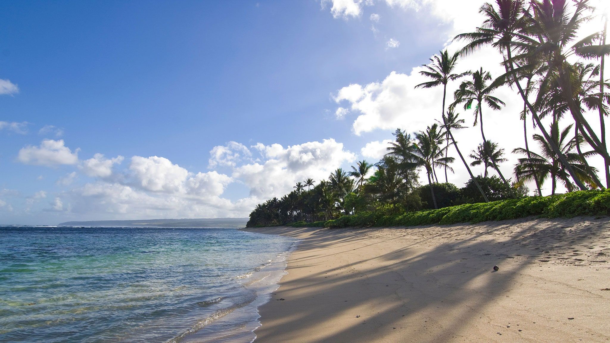 Туриста заарештували через фото з відпочинку на Гаваях