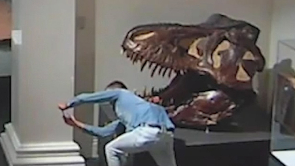 Чоловік проник в музей заради селфі з динозавром: епічне відео - фото 1