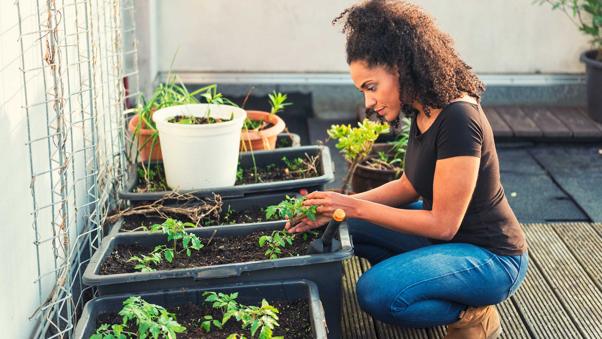 Це хобі робить людей щасливими під час карантину