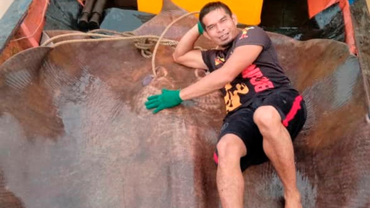 Кадр з відео - фото 1