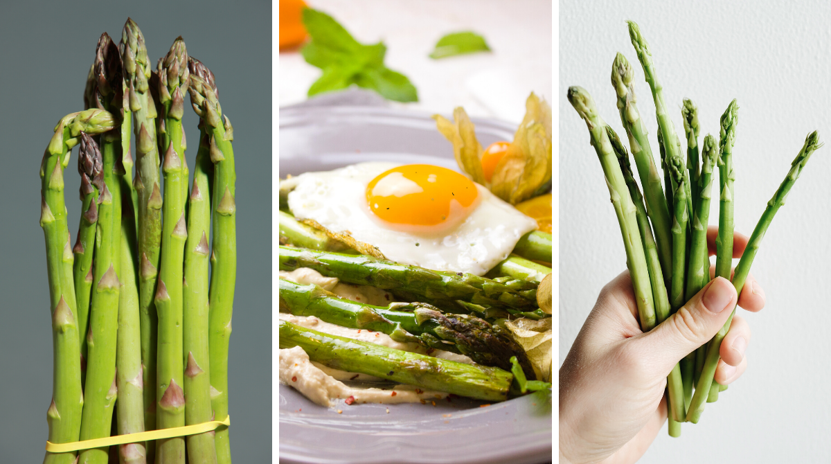страви зі спаржі - фото 1
