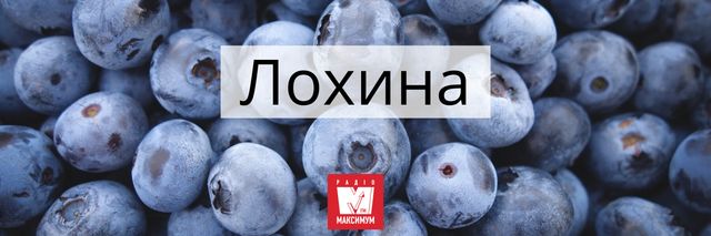 10 колоритних українських слів про літо, які прикрасять ваше мовлення - фото 404998