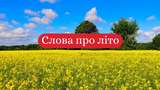 10 колоритних українських слів про літо, які прикрасять ваше мовлення