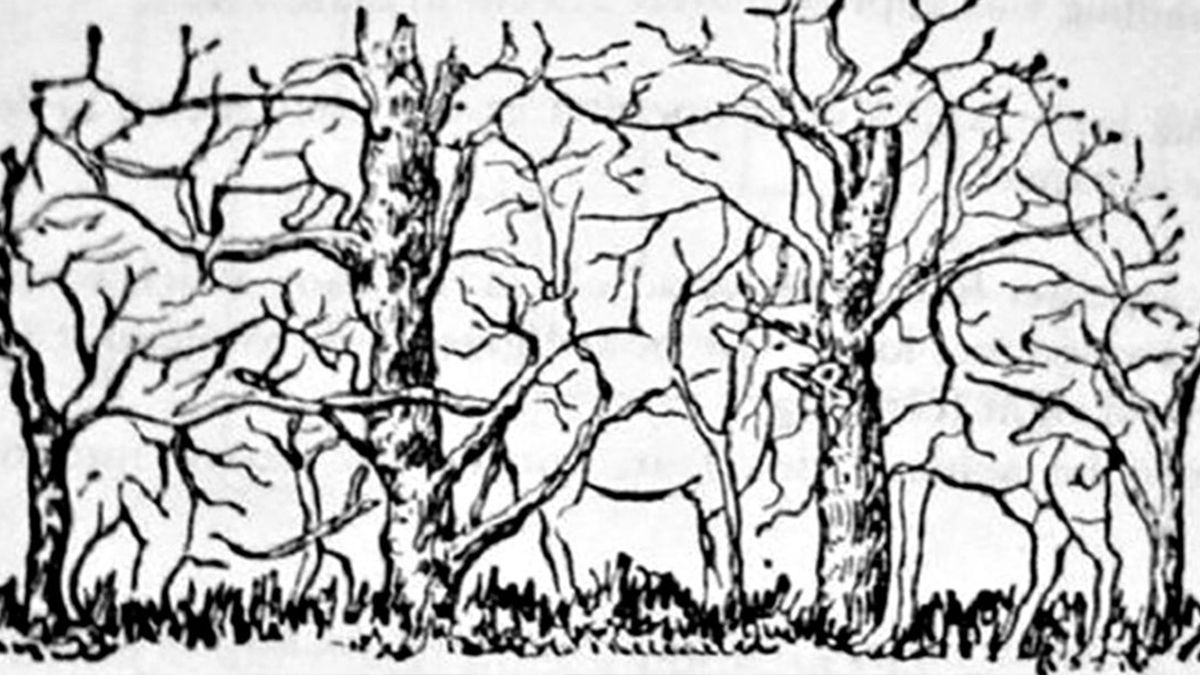 Перша тварина, яку ви побачили на картинці, – що вона говорить про вас?